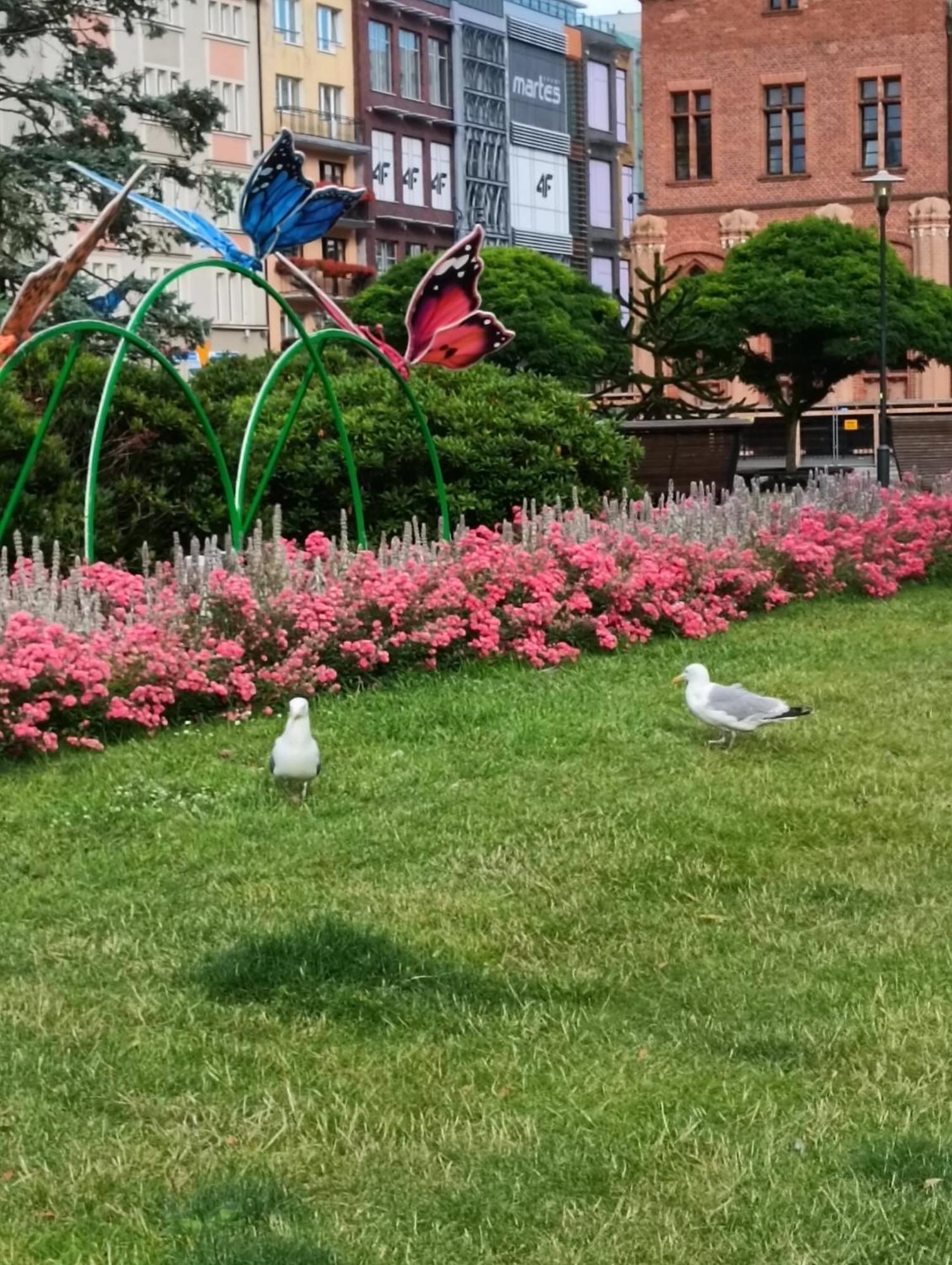 Apartament Ale Laba Kołobrzeg Zewnętrze zdjęcie