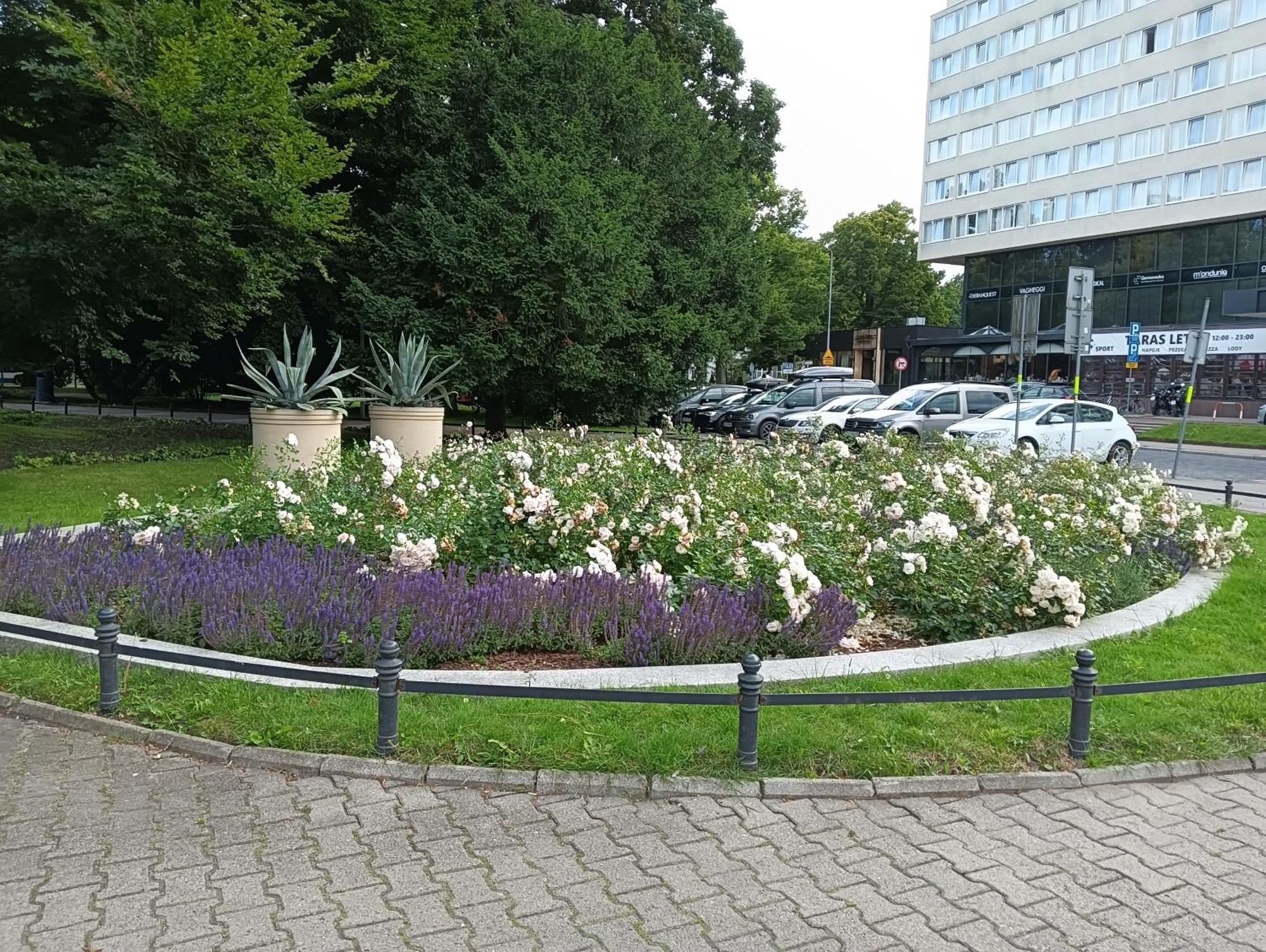 Apartament Ale Laba Kołobrzeg Zewnętrze zdjęcie