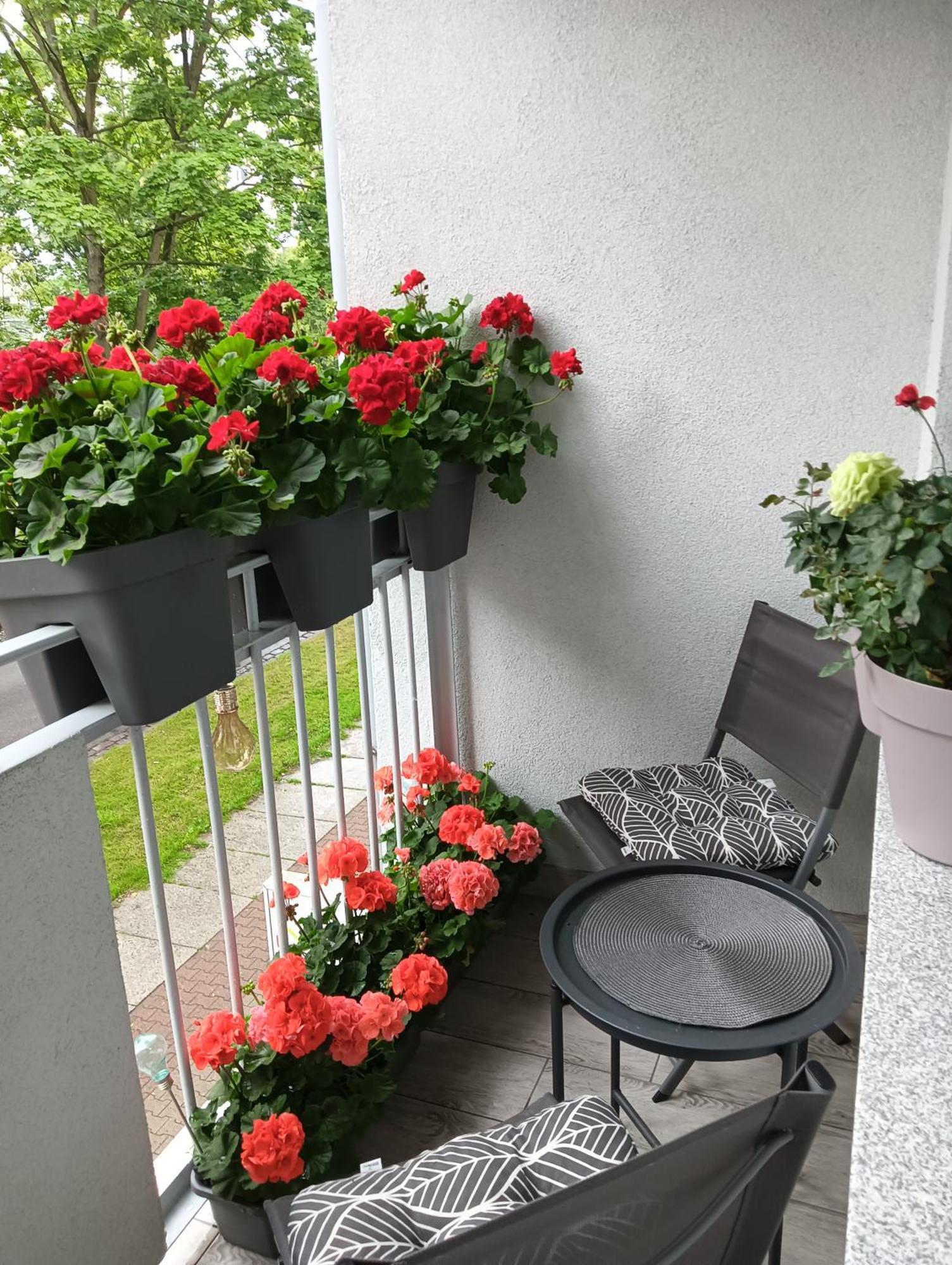 Apartament Ale Laba Kołobrzeg Zewnętrze zdjęcie
